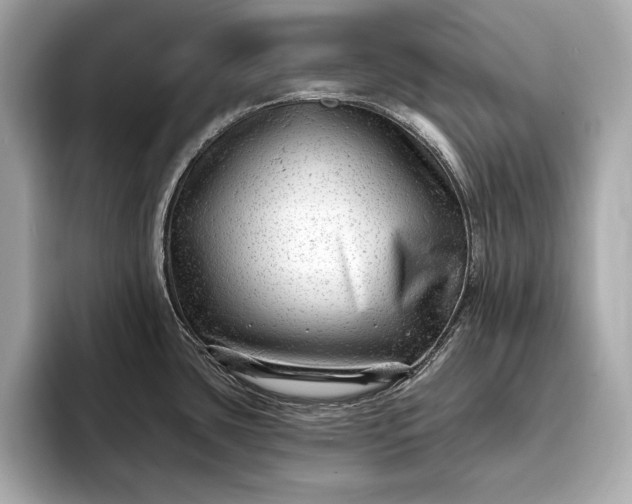 X0000093421435200710260949