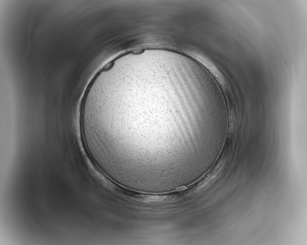 X0000093421439200710260949