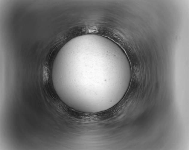 X0000093421442200710260949