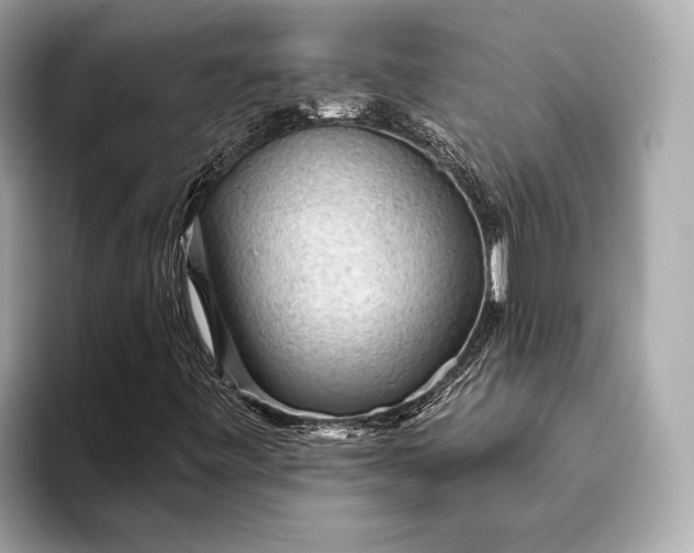 X0000093421443200710260949