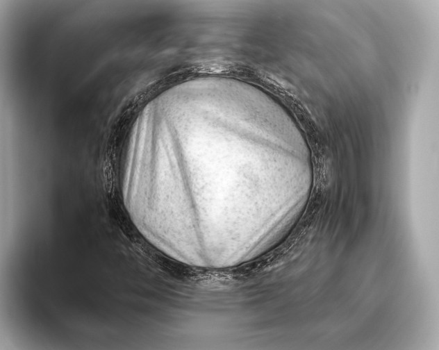 X0000093421446200710260949