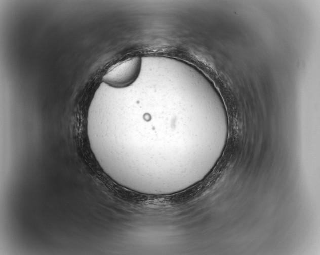 X0000093421447200710260948