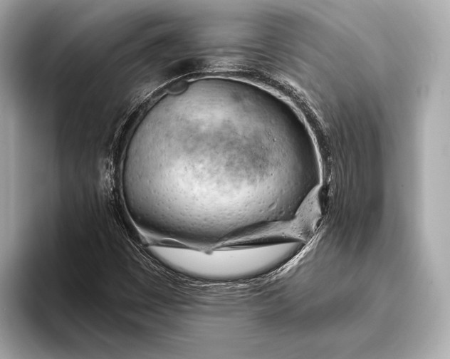 X0000093421449200710260948