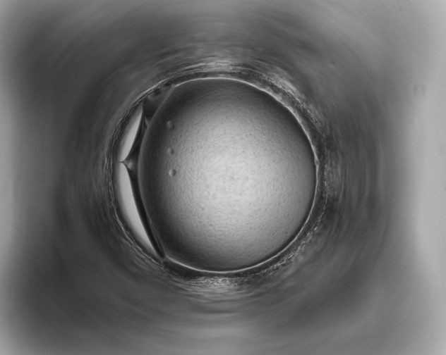 X0000093421450200710260948