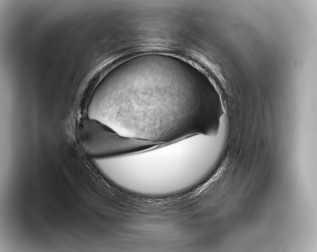 X0000093421453200710260948