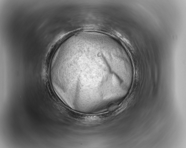 X0000093421454200710260948