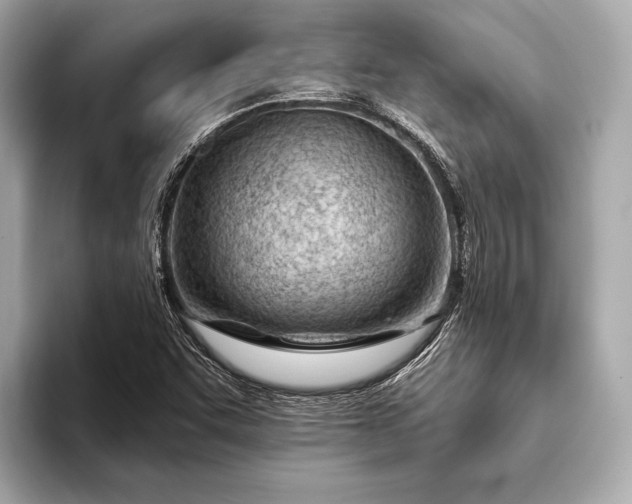 X0000093421455200710260948