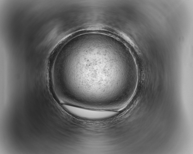 X0000093421456200710260948