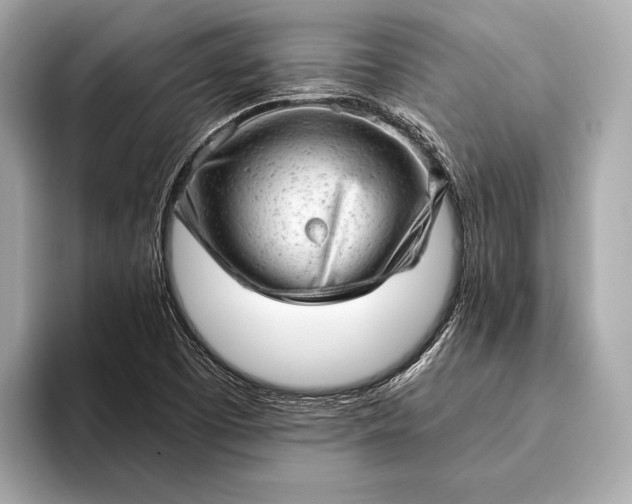 X0000093421457200710260948