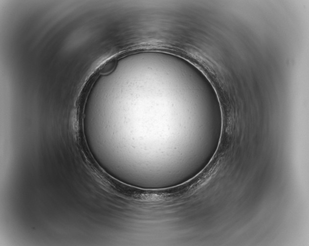 X0000093421458200710260948