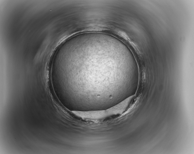 X0000093421459200710260948