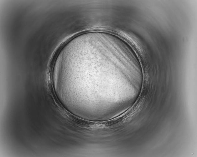 X0000093421462200710260948