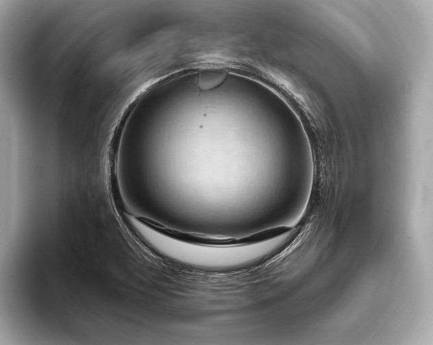 X0000093421463200710260948