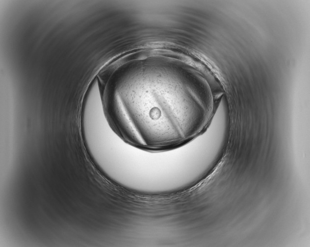 X0000093421465200710260948