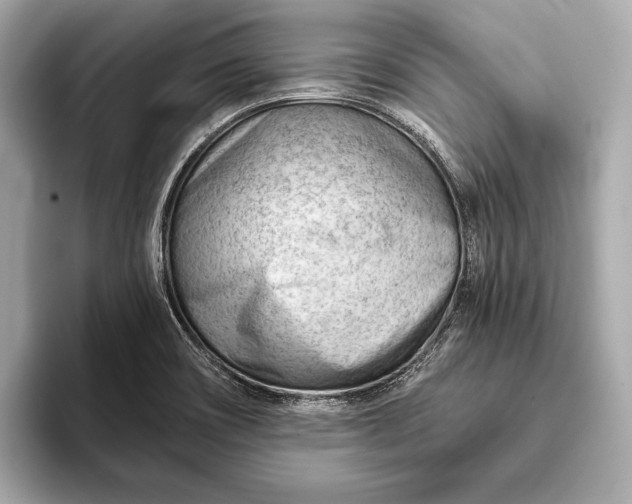 X0000093421466200710260948