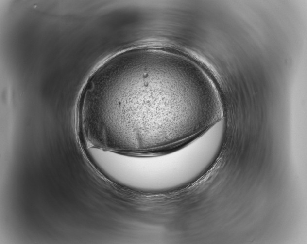 X0000093421467200710260948