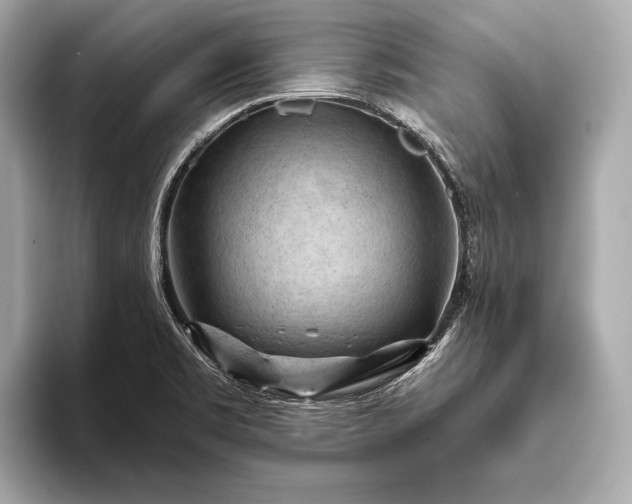 X0000093421469200710260948