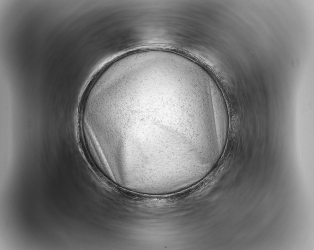 X0000093421470200710260948