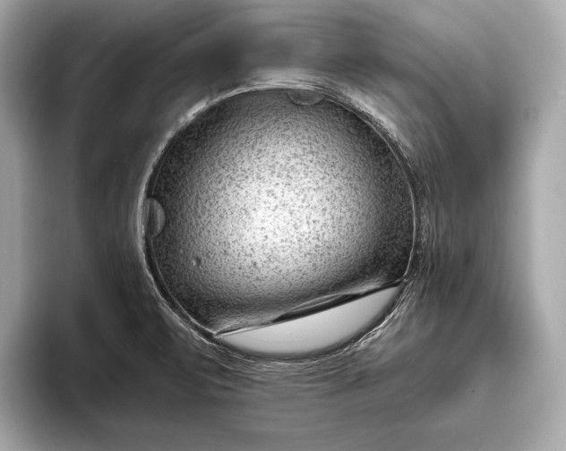 X0000093421471200710260948