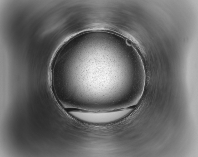 X0000093421472200710260948