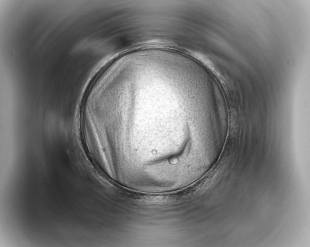 X0000093421474200710260948