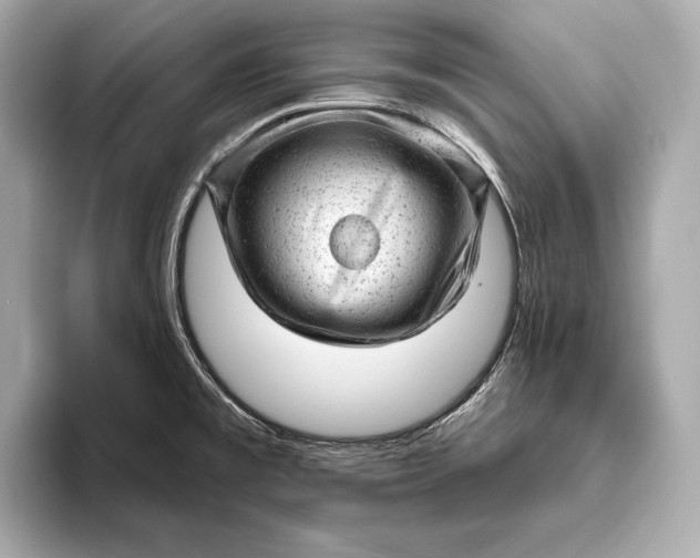 X0000093421477200710260948