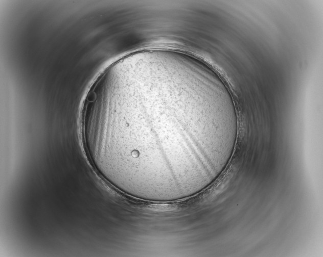 X0000093421478200710260948