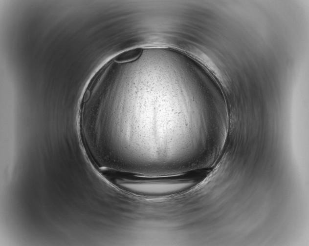 X0000093421484200710260948