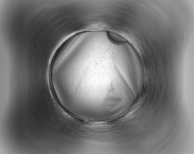 X0000093421486200710260948