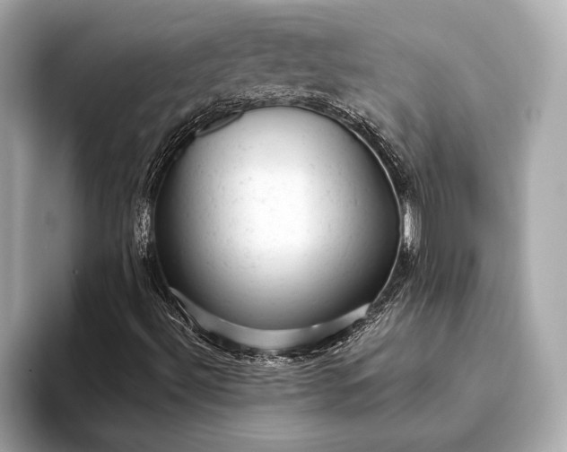 X0000093421492200710260947