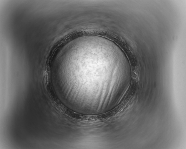 X0000093421493200710260947