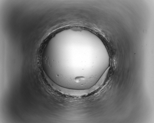 X0000093421496200710260947