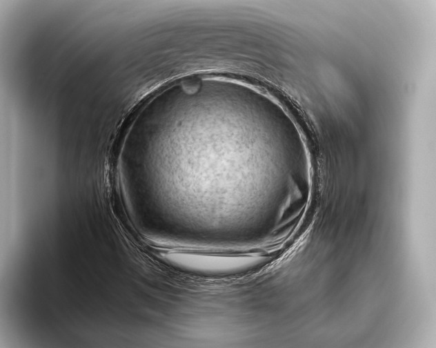 X0000093421497200710260947