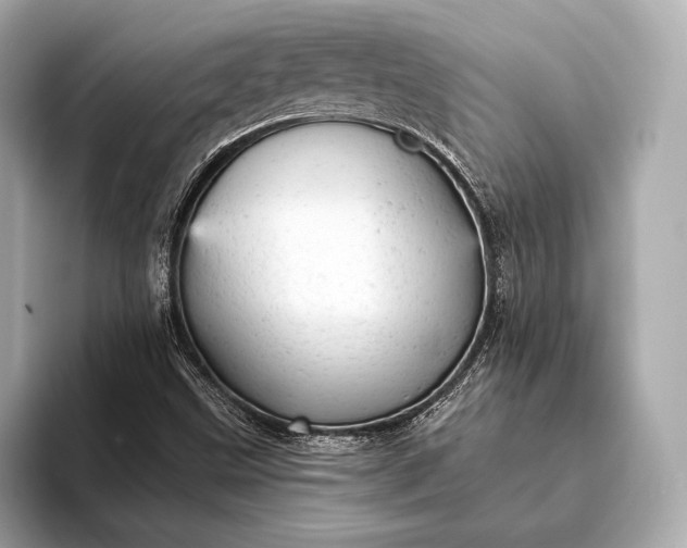 X0000093421499200710260947