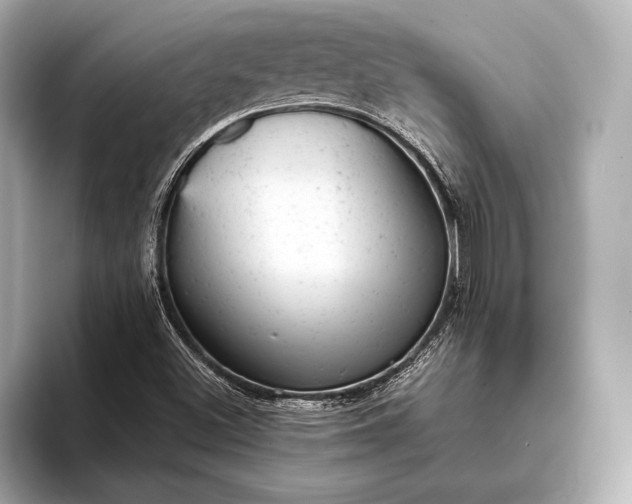 X0000093421500200710260947