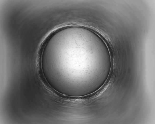 X0000093421502200710260948