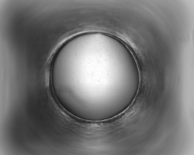 X0000093421504200710260948