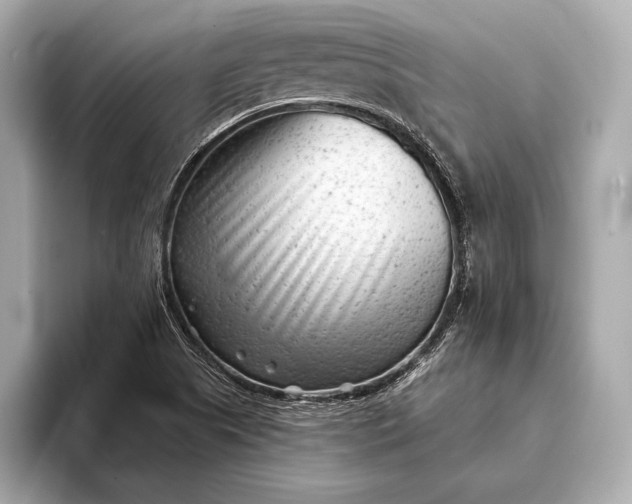 X0000093421505200710260948