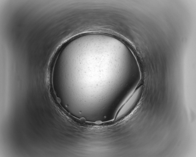 X0000093421506200710260948