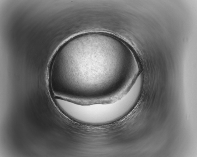 X0000093421508200710260948