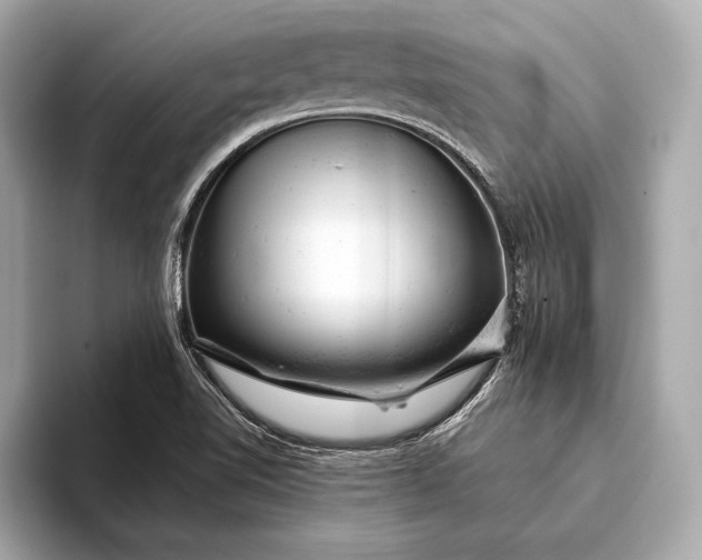 X0000093421510200710260948