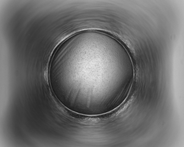 X0000093421513200710260948