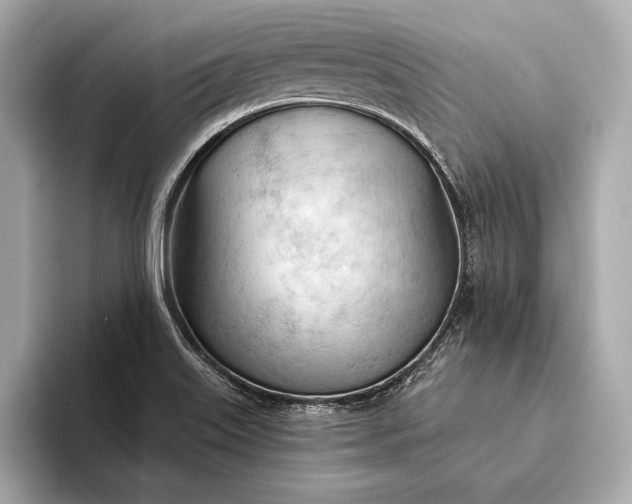 X0000093421515200710260948