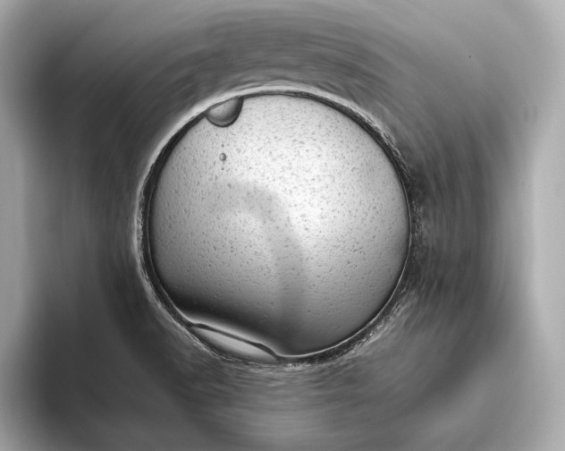 X0000093421518200710260948