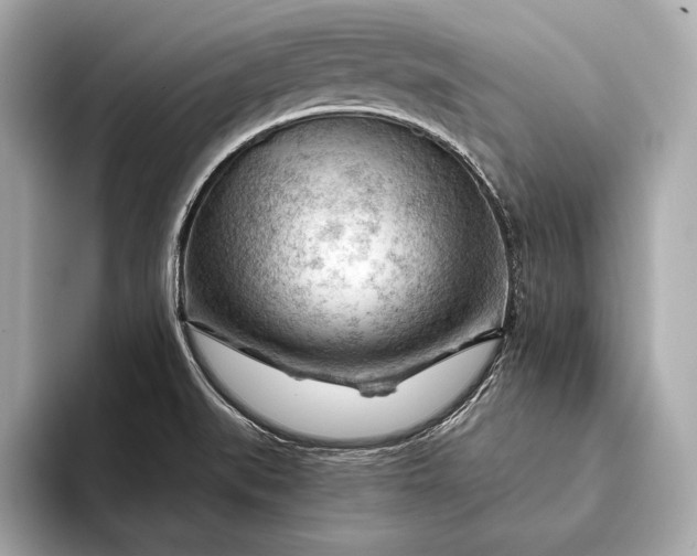 X0000093421519200710260948