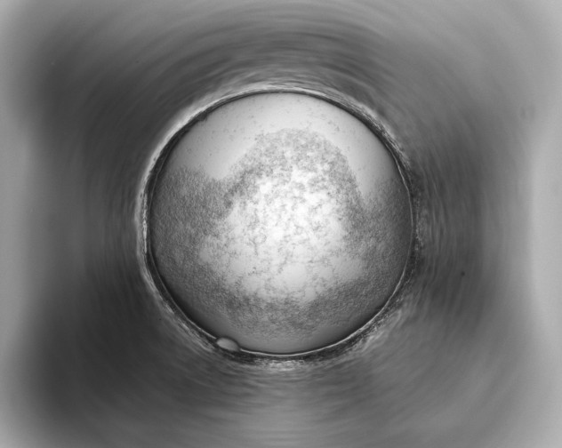 X0000093421522200710260948