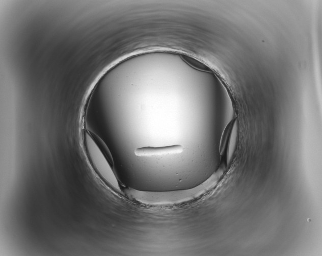 X0000093421524200710260948