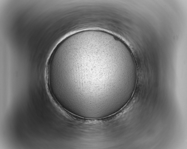 X0000093421526200710260948