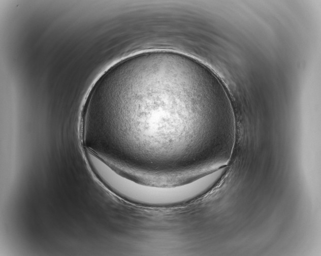 X0000093421527200710260948