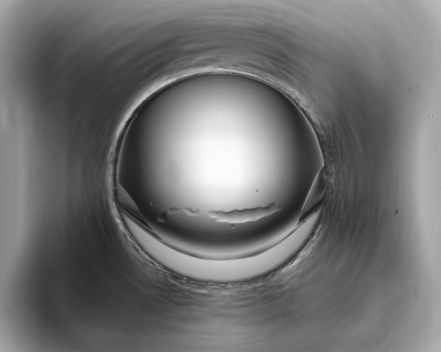 X0000093421530200710260948